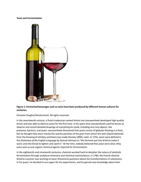 Yeast Fermentation and the Making of Beer and Wine.docx