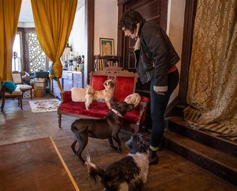 Rebel Dogs Detroit helps rescue strays from the streets