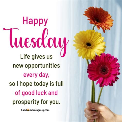 70+ Best Good Morning Tuesday Wishes, Quotes, Blessings & Inspirational ...