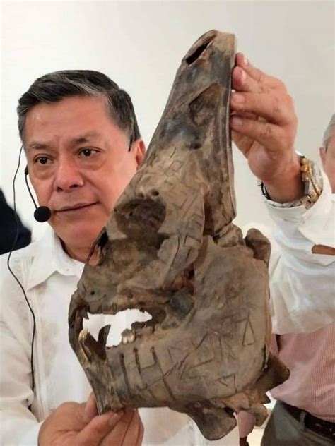 Image result for Alien Skull Found