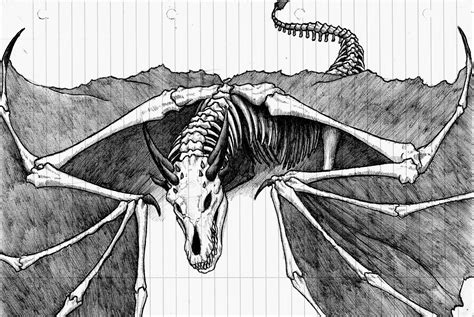 Dragon Skeleton Drawing 的图像结果