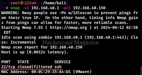 Nmap Port Scanning 的图像结果