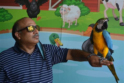 10 BEST Places to Visit in Kevadia - UPDATED 2022 (with Photos ...