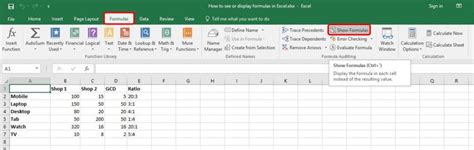 Image result for Display Formulas Excel