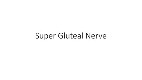 Superior Gluteal Nerve Injury and innervation | PPTX
