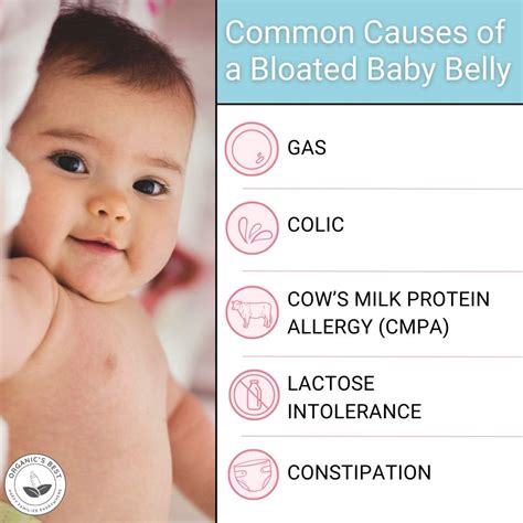 Causes and Solutions for a Bloated Newborn Stomach: Tips for Parents