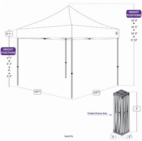 Buy Impact Canopy 10x10 Pop Up Canopy Tent, Mesh Sidewalls, Screen Room ...