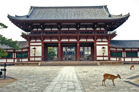 Messengers of the gods: Nara’s ‘sacred’ deer at a conservation crossroads