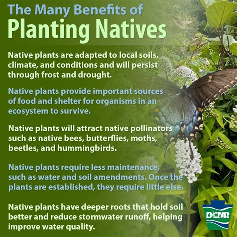 From our friends at PA Dept of Agriculture: - Farm to Table Western PA