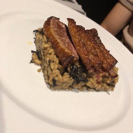 OCCI, Girona - Restaurant Reviews, Phone Number & Photos - Tripadvisor