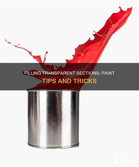 Processing Transparent Fill 的图像结果