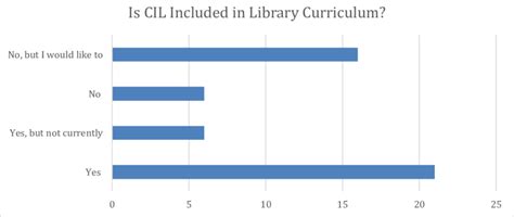 Critical Information List Example 的图像结果