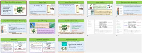 Image result for Plant Cell Lesson
