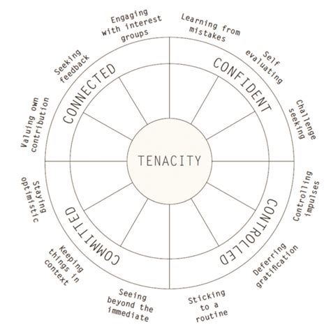 Image result for Using Tenacity