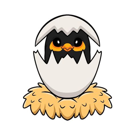 Cute myna bird cartoon inside from egg | Premium Vector