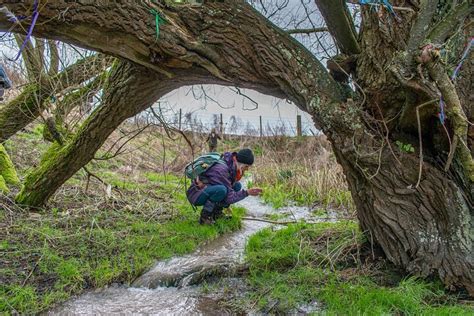 THE BRITISH PILGRIMAGE TRUST (2026) All You Need to Know BEFORE You Go ...