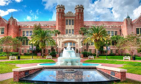 Best Colleges In Florida For Doctors