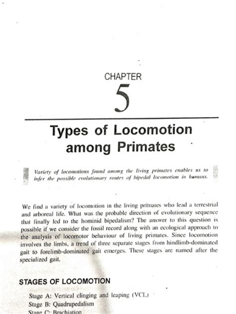 Image result for Locomotor Patterns in Primates