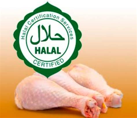 Is Halal Chicken Real Chicken at Maddison Loch blog