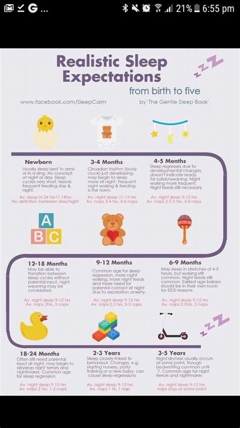 Newborn Sleep Patterns 的图像结果