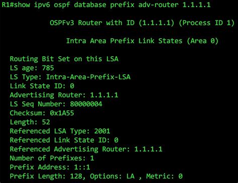 Image result for IP Ospf Database Contents Explained