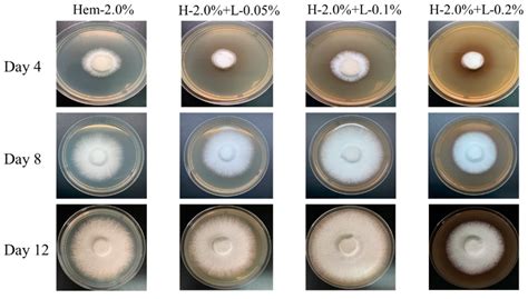The Effect of Hemicellulose and Lignin on Properties of Polysaccharides ...