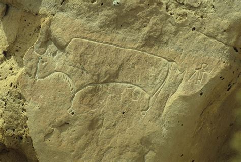 White Mountain Petroglyphs | Natural Atlas