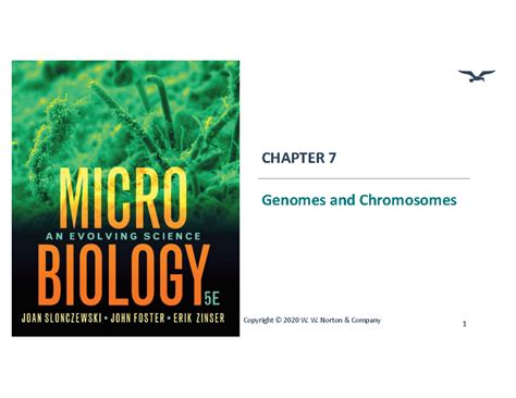 Image result for DNA Function