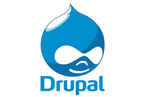 A beginners guide to content management systems