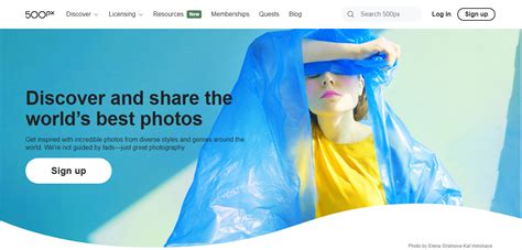 Image result for Software Hosting Platforms