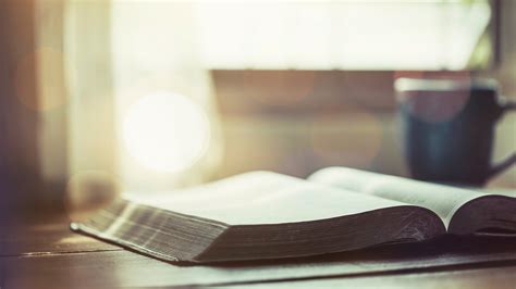 Image result for Live Scriptures