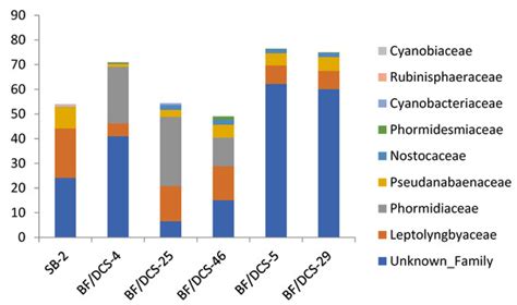 Cyanobacterial Communities of Carbonate Sediments and Biomineralization ...