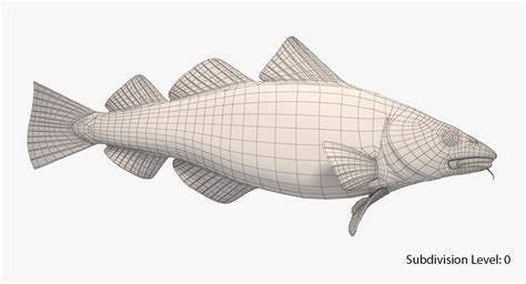 Cod Animation 的图像结果