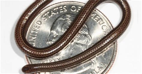 বিজ্ঞানের আজব তথ্য সম্পর্কিত খবর - Strange Facts About Science News ...