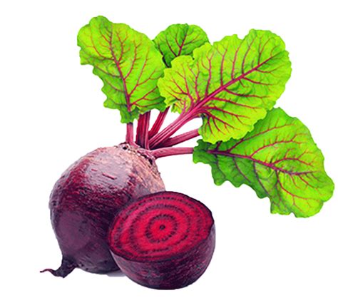 Free Beets Cliparts, Download Free Beets Cliparts png images, Free ClipArts on Clipart Library