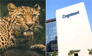 'तेंदुआ देख भागना मना है!' पुणे IT हब में दहशत, Cognizant ने ...