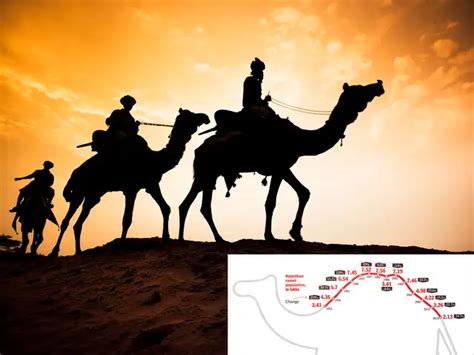 Camel numbers have been falling - Why camels are giving Pushkar fair a ...