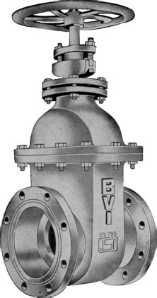 BVI | Bir Valve Industry