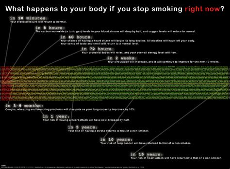 What Happens When You Quit Smoking | Immediate and Long Term Benefits
