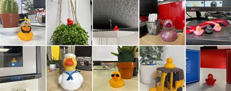 Image result for Debugging Duck Python