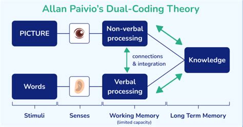 Image result for Dual Coding Icon