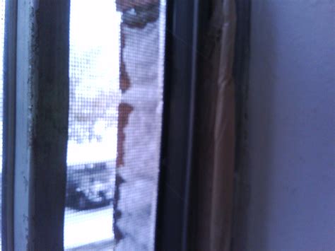 Image result for Window Weatherstripping