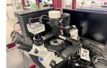 Used Cell Culture Microscope for sale. Thermo Fisher Scientific ...