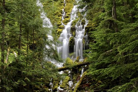 Proxy Falls, USA