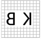 Mirror Image Reasoning: Figure with P, A, S Letters