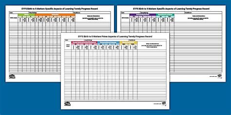 EYFS Birth to 5 Matters Aspects Termly Progress Record