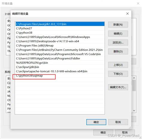 Sqlmap Hacking 的图像结果