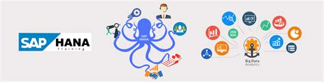 E-lite Institute Of Finance & Management