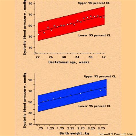 Neonatal Blood Pressure