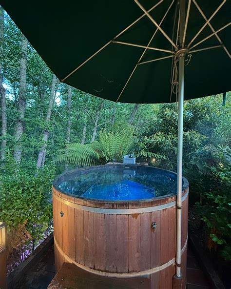 Olive evans | 🌿🧚🛣️💚 | Instagram